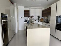 Ardmore Park (D10), Condominium #367992361